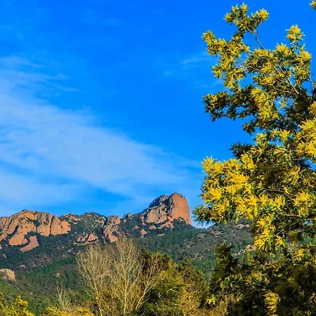 Apart Otel Et Les Flots Bleus 4*