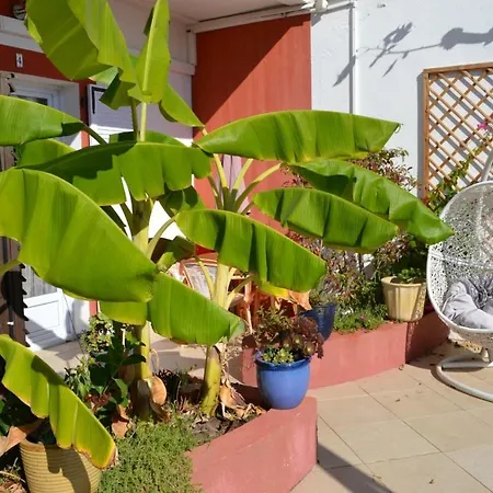 Et Les Flots Bleus Aparthotel Saint-Raphael (Var)