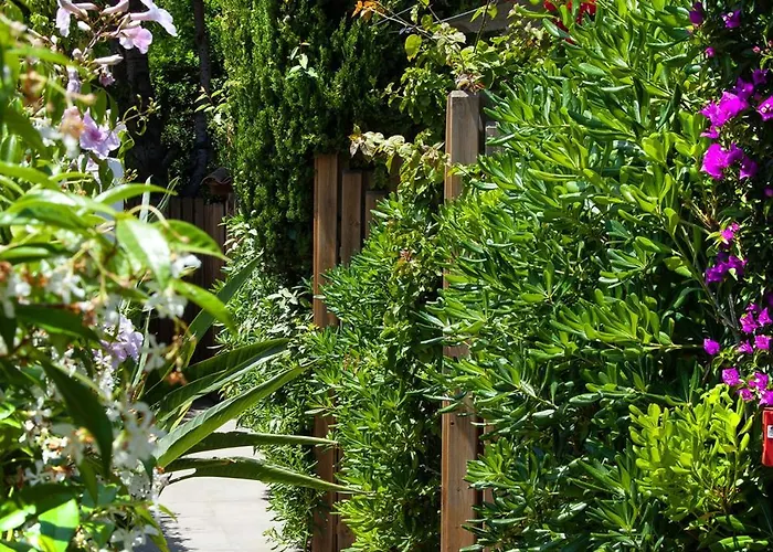 Et Les Flots Bleus Aparthotel Saint-Raphaël