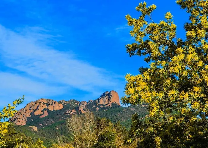 Apartahotel Et Les Flots Bleus 4*